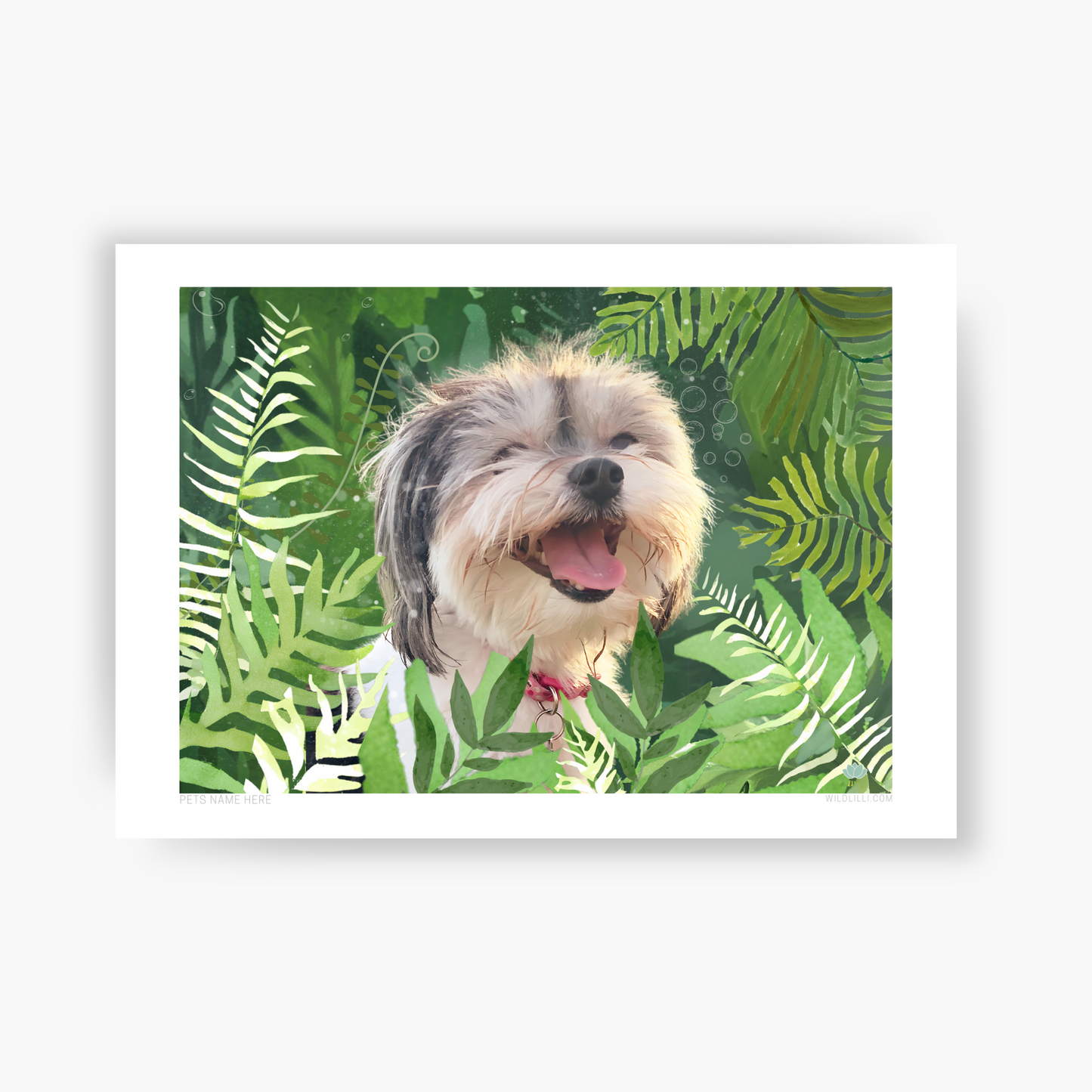 Furry Frolics - Custom Pet Portrait
