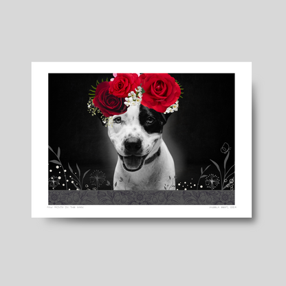 Rose Buddy - Custom-Pet-Portrait