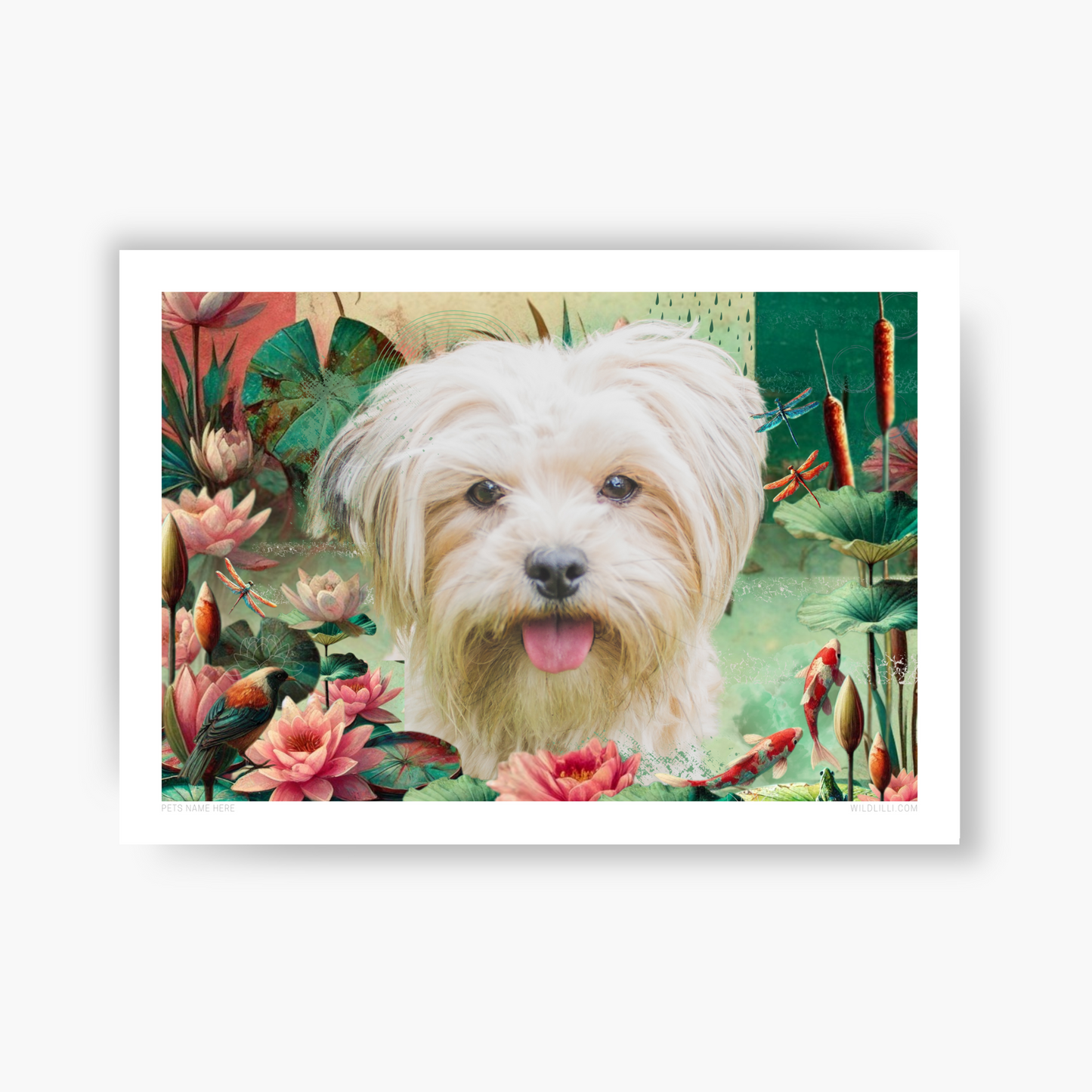 Water Lilies - Custom Pet Portrait
